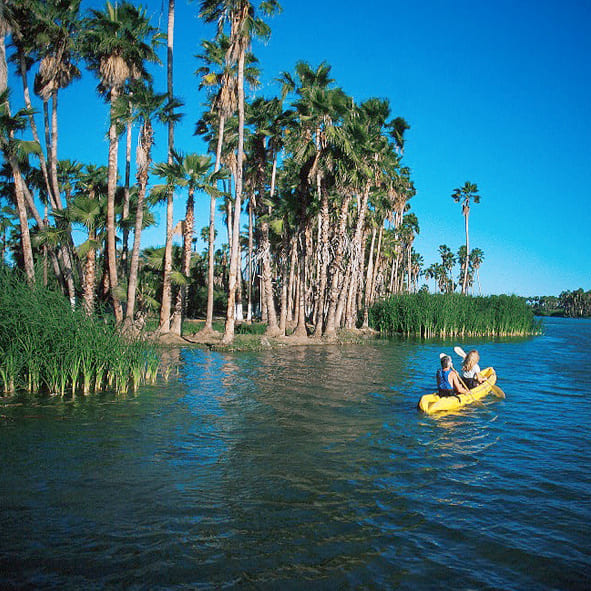 Visitar el Estuario San José – BAJA CALIFORNIA SUR, MARAVILLAS NATURALES